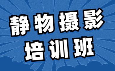 静物摄影培训班