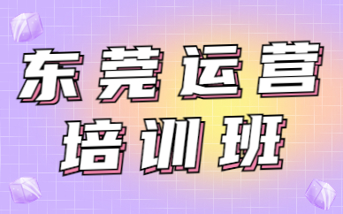 东莞运营培训班