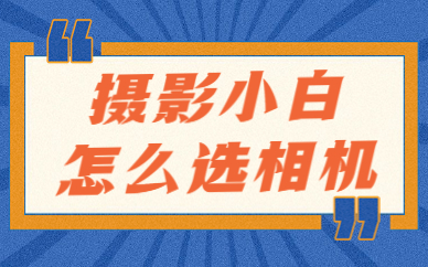 作为摄影小白，选购相机时更适合购买单反还是微单？