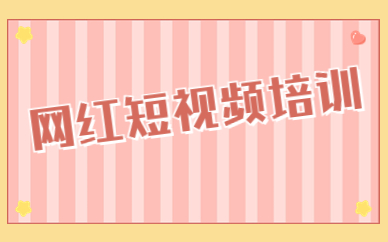 网红短视频培训