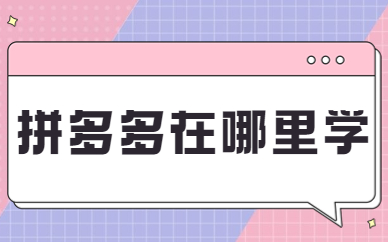 拼多多在哪里学