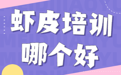虾皮培训哪个好