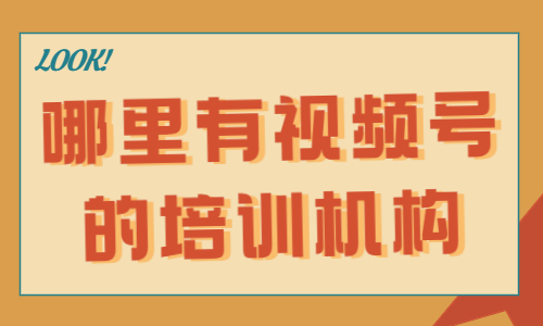 哪里有视频号的培训机构 - 美迪教育