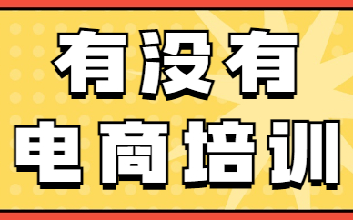 有没有电商培训