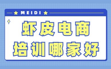 虾皮电商培训哪家好