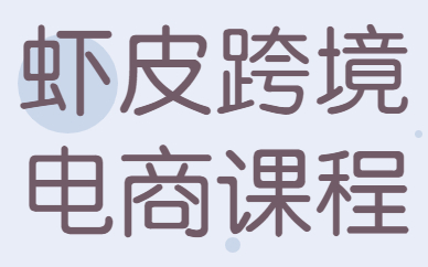 虾皮跨境电商培训课程