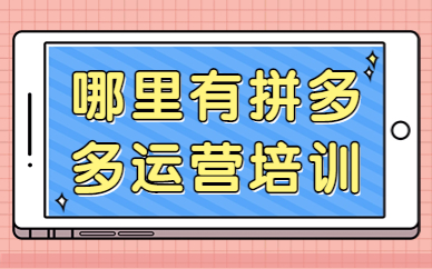 哪里有拼多多运营培训