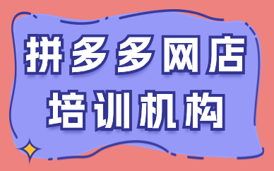 拼多多网店培训机构