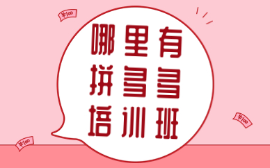哪里有拼多多培训班