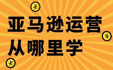 新手学亚马逊运营从哪里学？有哪些学习方式？