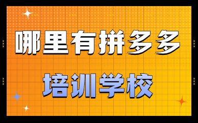 哪里有拼多多培训学校