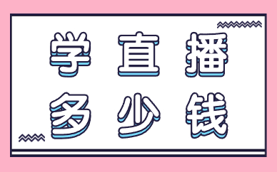 学直播多少钱
