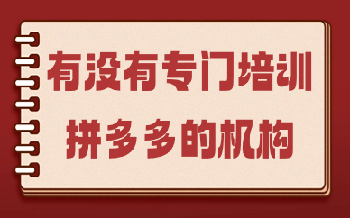 有没有专门培训拼多多的机构