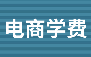 电商学费