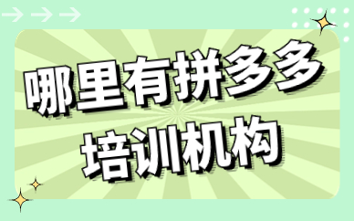 哪里有拼多多培训机构