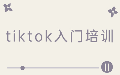 tiktok入门培训