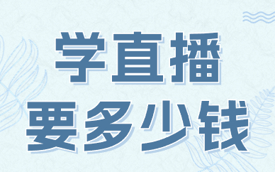 学直播要多少钱