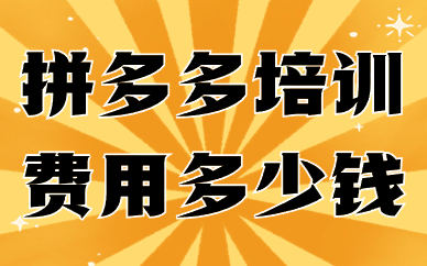 拼多多培训费用多少钱