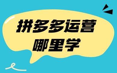 拼多多运营哪里学