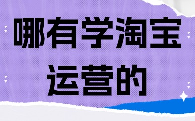 哪有学淘宝运营的