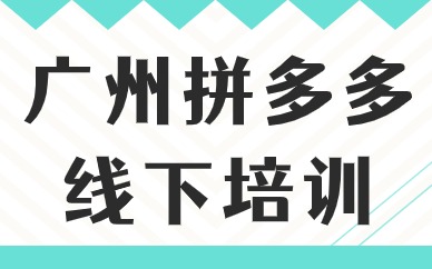 广州拼多多线下培训