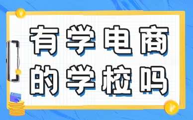 有学电商的学校吗