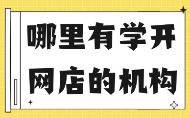 哪里有学开网店的机构