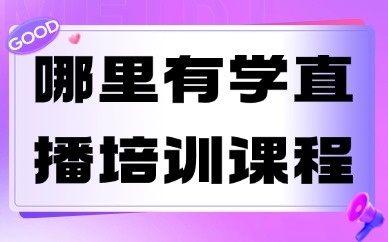 哪里有学直播培训的课程