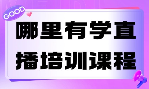 哪里有学直播培训的课程 - 美迪教育