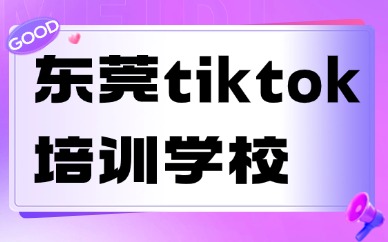 东莞tiktok培训学校