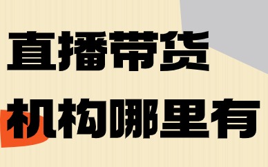 直播带货培训机构哪里有