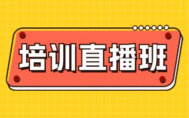 培训直播班