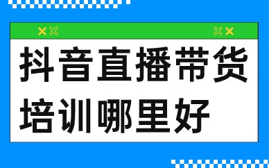 抖音直播带货培训哪里好