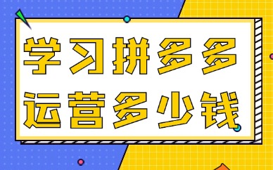 学习拼多多运营多少钱