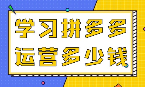 学习拼多多运营多少钱 - 美迪教育