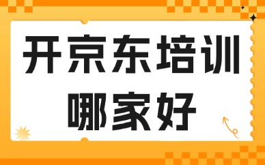 开京东培训哪家好