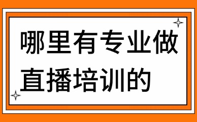 哪里有专业做直播培训的