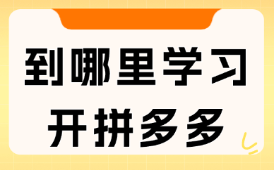 到哪里学习开拼多多