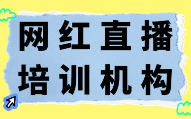 网红直播培训机构
