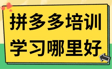 拼多多培训学习哪里好