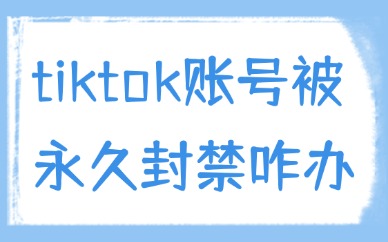 tiktok账号被永久封禁怎么办？可以试试这些方法！