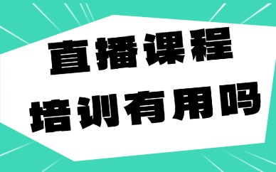 直播课程培训机构有用吗