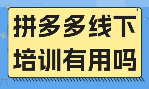 拼多多线下培训有用吗 - 美迪教育