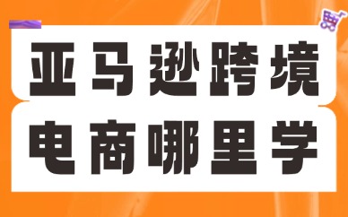 亚马逊跨境电商培训哪里可以学