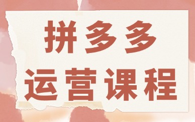 拼多多运营课程