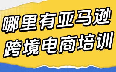 哪里有亚马逊跨境电商培训