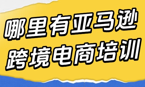 哪里有亚马逊跨境电商培训 - 美迪教育