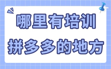 哪里有培训拼多多店铺的地方