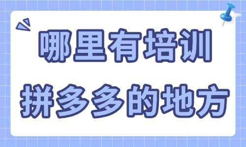 哪里有培训拼多多店铺的地方 - 美迪教育