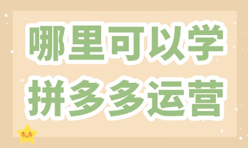 哪里可以学拼多多运营 - 美迪教育